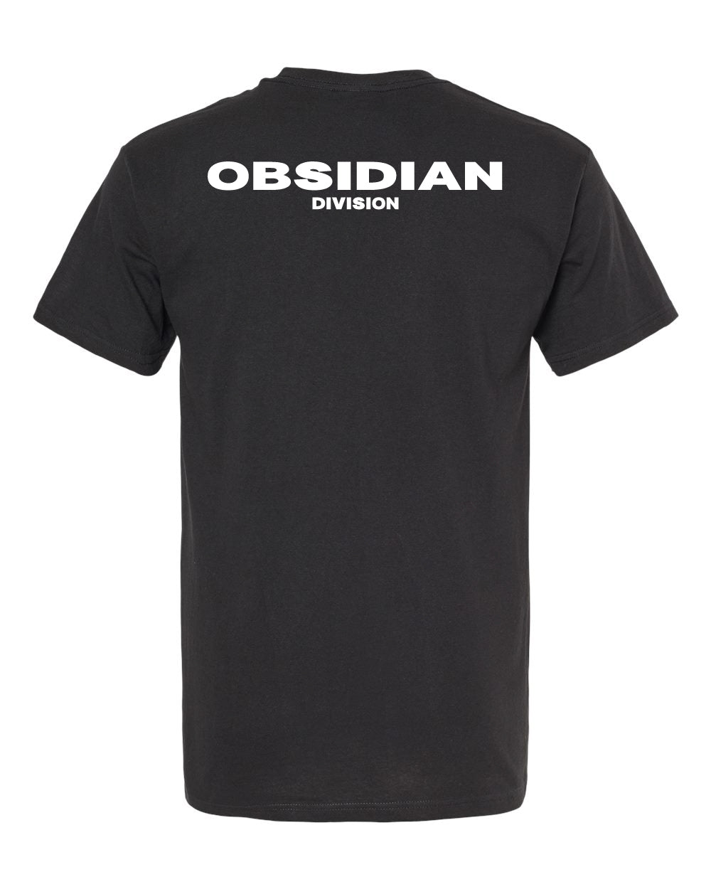 Zenless Zone Zero: Obsidian Division